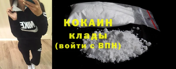 молекула духа Покровск
