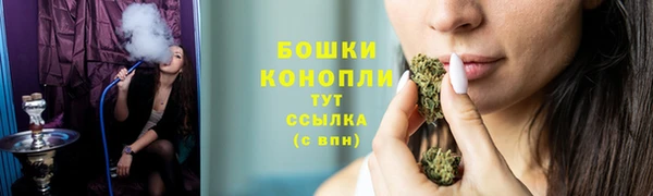 молекула духа Покровск