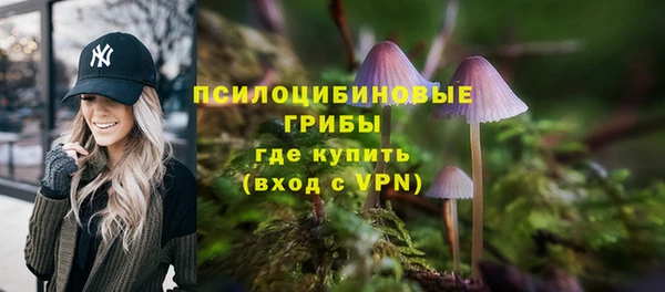 спайс Покачи