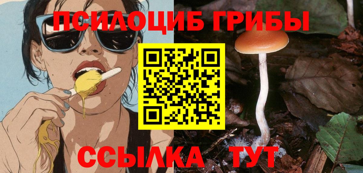 Псилоцибиновые грибы Psilocybe Советский